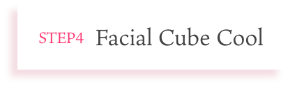 STEP4 Facial Cube Cool